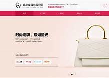 廊坊中小型企业网站建设 助力河北省专精特新企业数字化转型